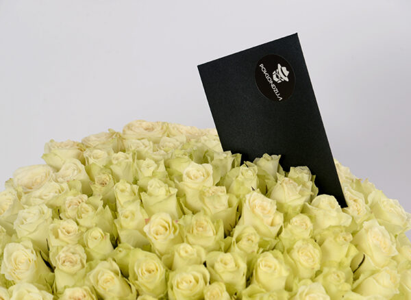 101 bela ruža u kutiji - dostava cveća beograd - poklondzija
