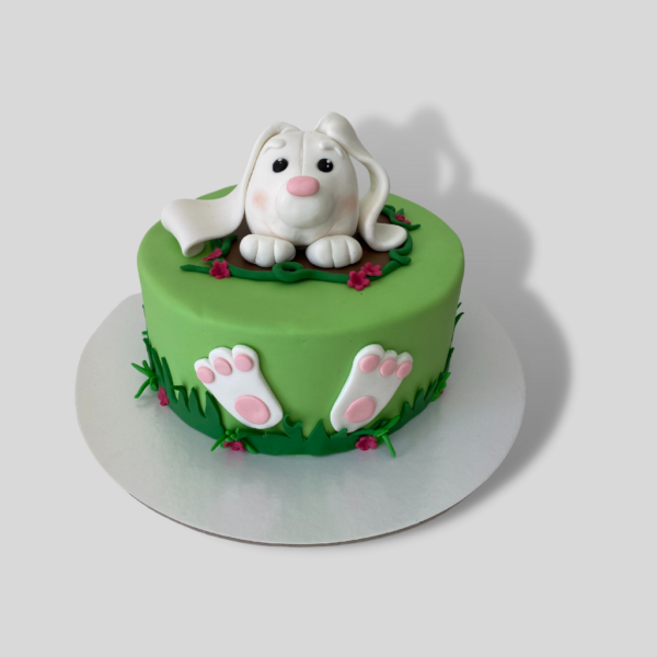 136 zec torta za decu - torte za rođendan - poklondžija online giftshop
