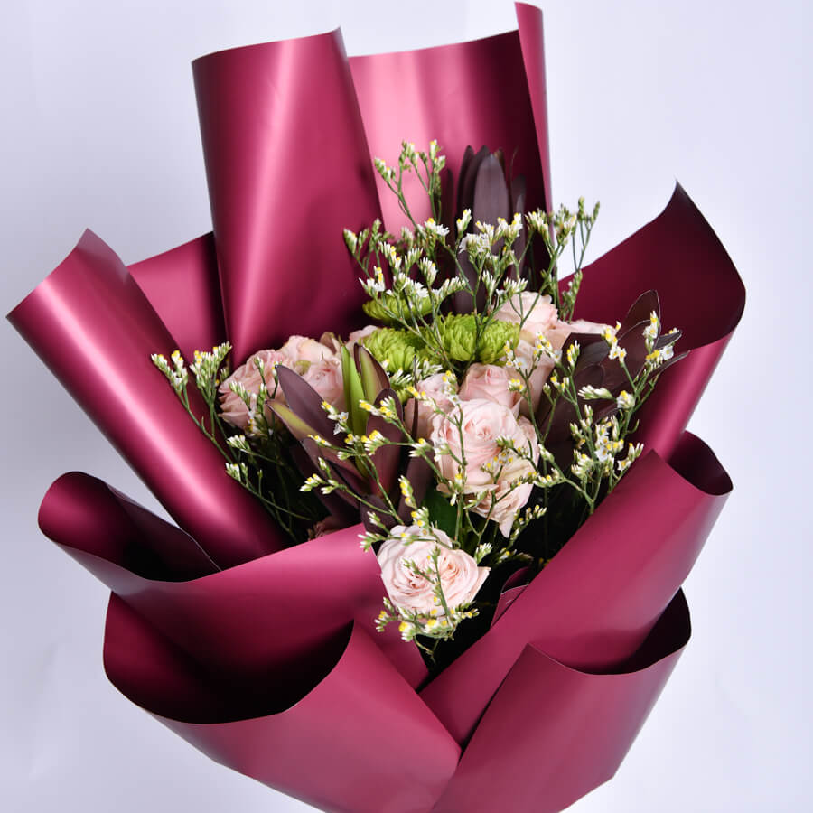 SAS_3155-2